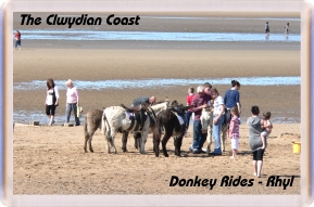 Rhyl Beach Donkey's